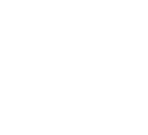 Domprojekt logo