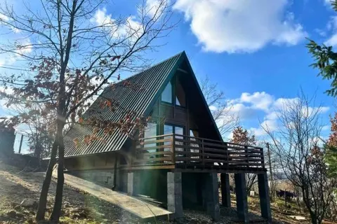 Montažna kuća A-frame kuća 1, 63 m², Drvo Pro Forest House