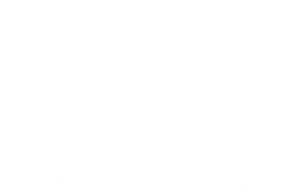 NV Trade logo