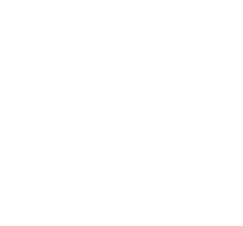 Stefanovic Project System logo
